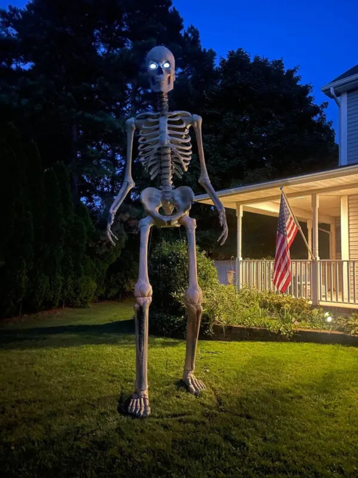 12ft Skeleton