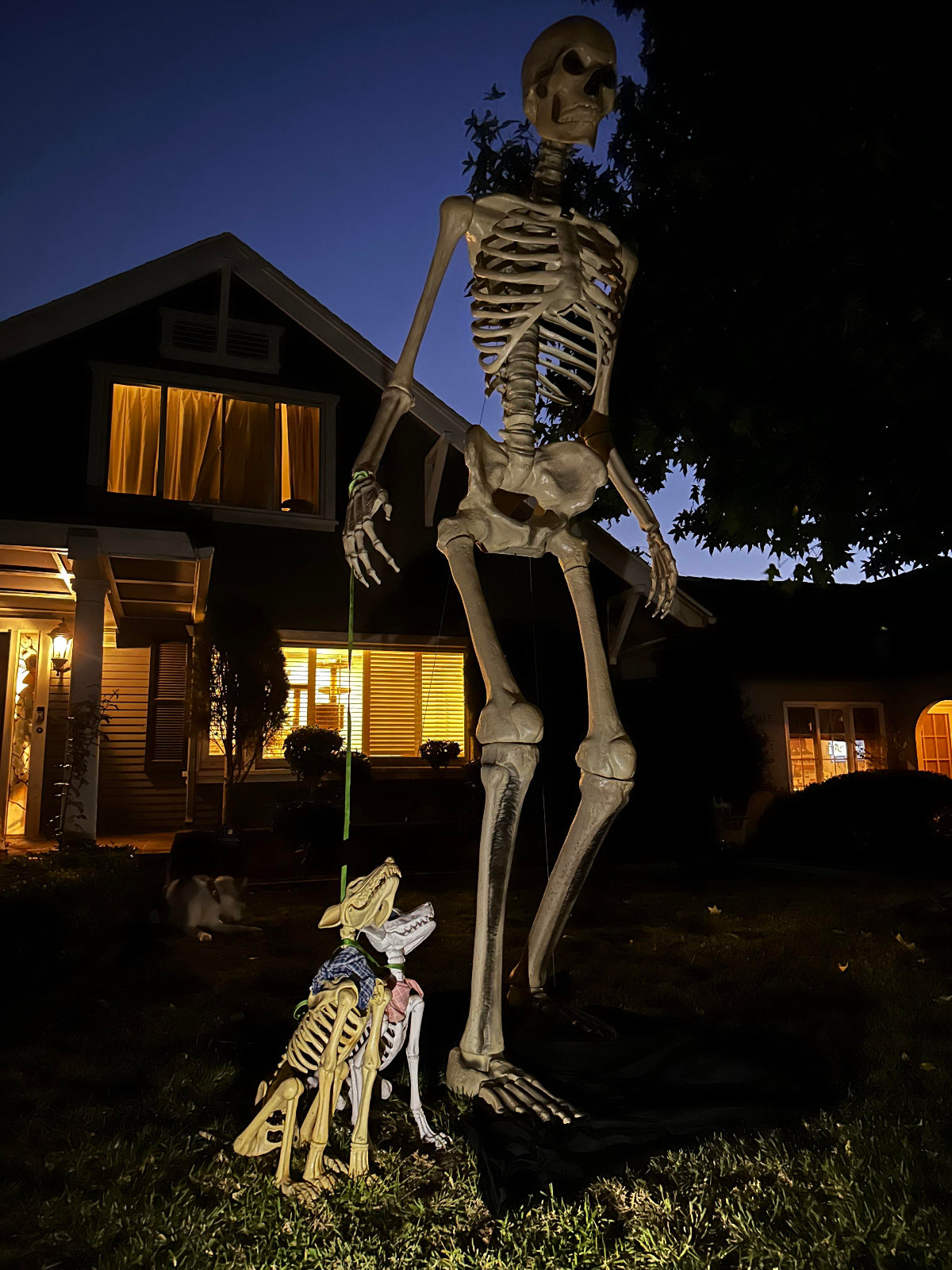 12ft Skeleton